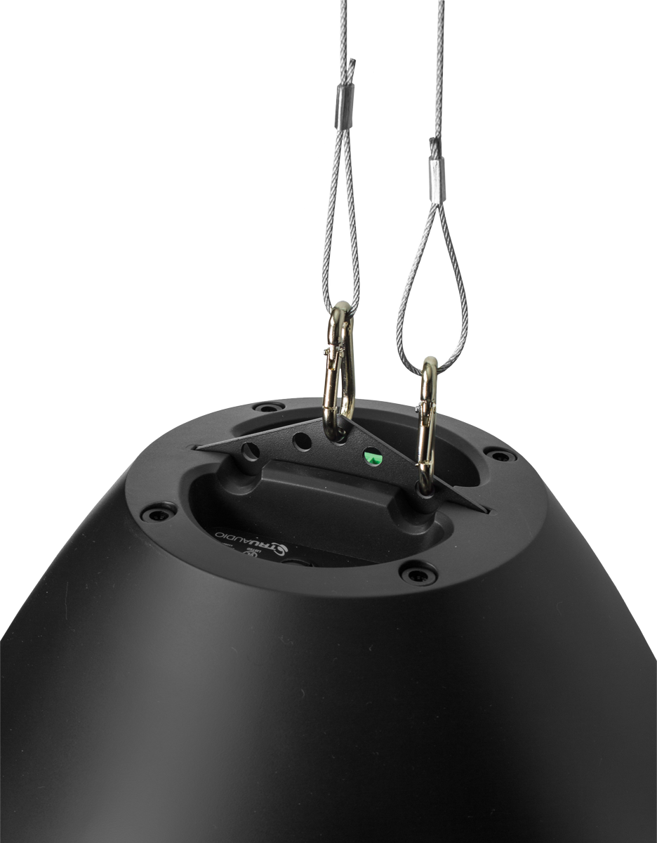 TruAudio BD-8BK Beatdrop Commercial Pedant Speaker - BD-8BK