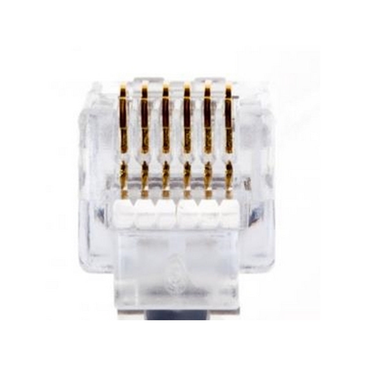 PLT-100026C - PLT-100026C