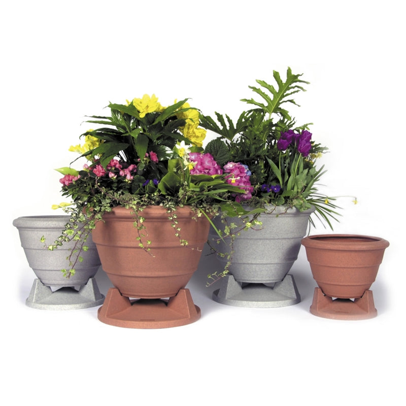 ROC-OMNIPLANTER6.5-GG - ROC-OMNIPLANTER6.5-GG