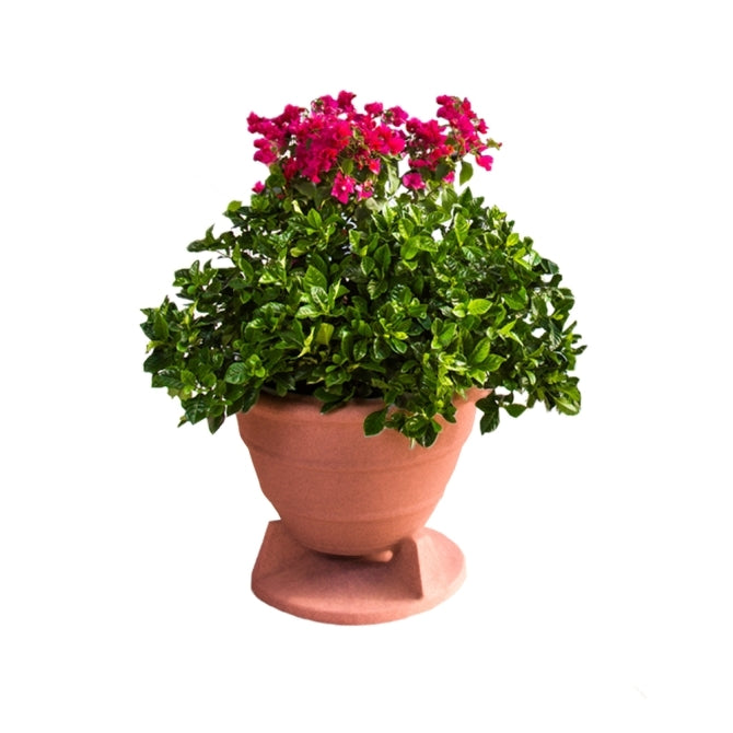 ROC-OMNIPLANTER6.5SSPOT-TC - ROC-OMNIPLANTER6.5SSPOT-TC6.5"  Omnidirectional  Outdoor  Spkrin  Terra  Cottaw/  Sweet  Spot