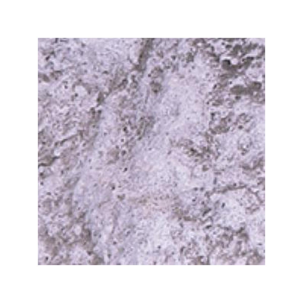 ROC-PAVAROCCI-G - ROC-PAVAROCCI-G