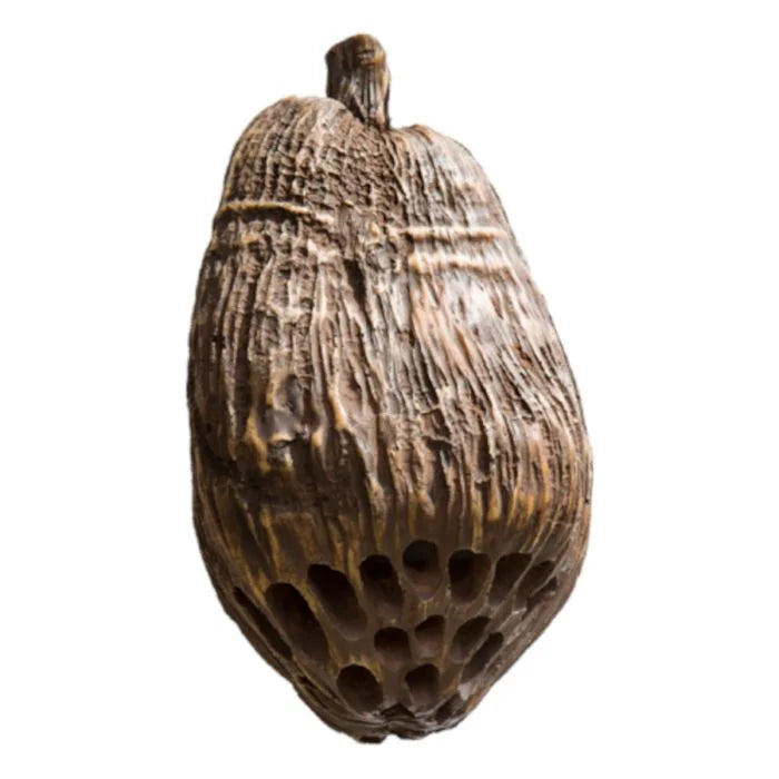 SND-COCONUTZ - SND-COCONUTZ5.25"two-way  Outdoor  Coconutz  Speaker